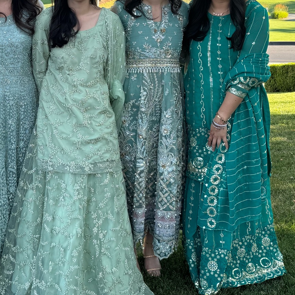 Indian Pakistani fancy party maxi By Elan brand
